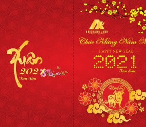CHÚC MỪNG NĂM MỚI 2021